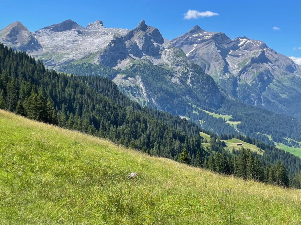 Alpen Charme - Chalet D'Hotes Et Spa Gsteig Bagian luar foto